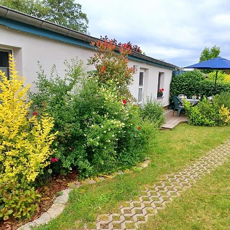 Fewo Seeadler - Heuser Prerow Exterior foto